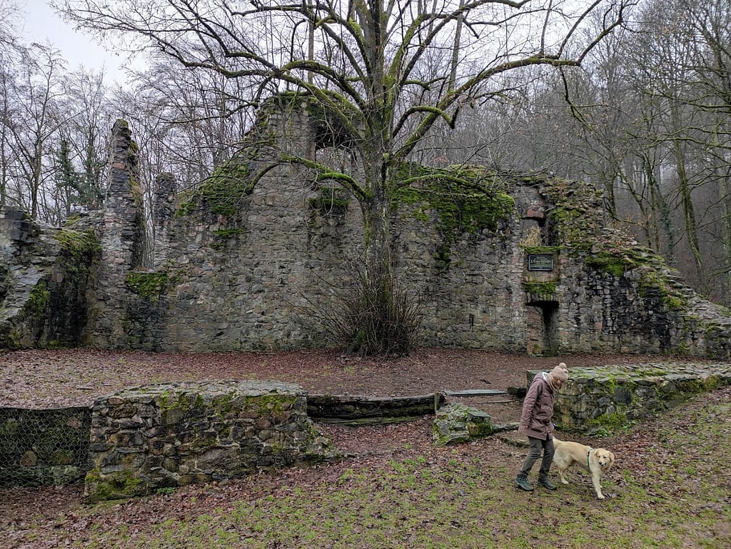 Luna begleitet gerne zur Paartherapie Luna begleitet gerne zur Paartherapie
